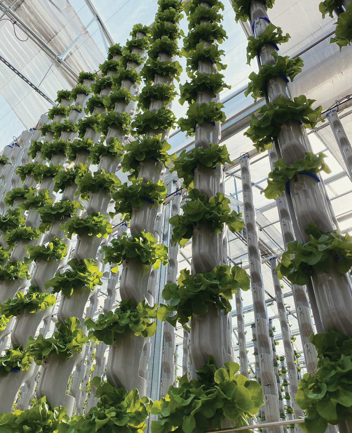 Environmentally controlled agriculture growing fresh produce